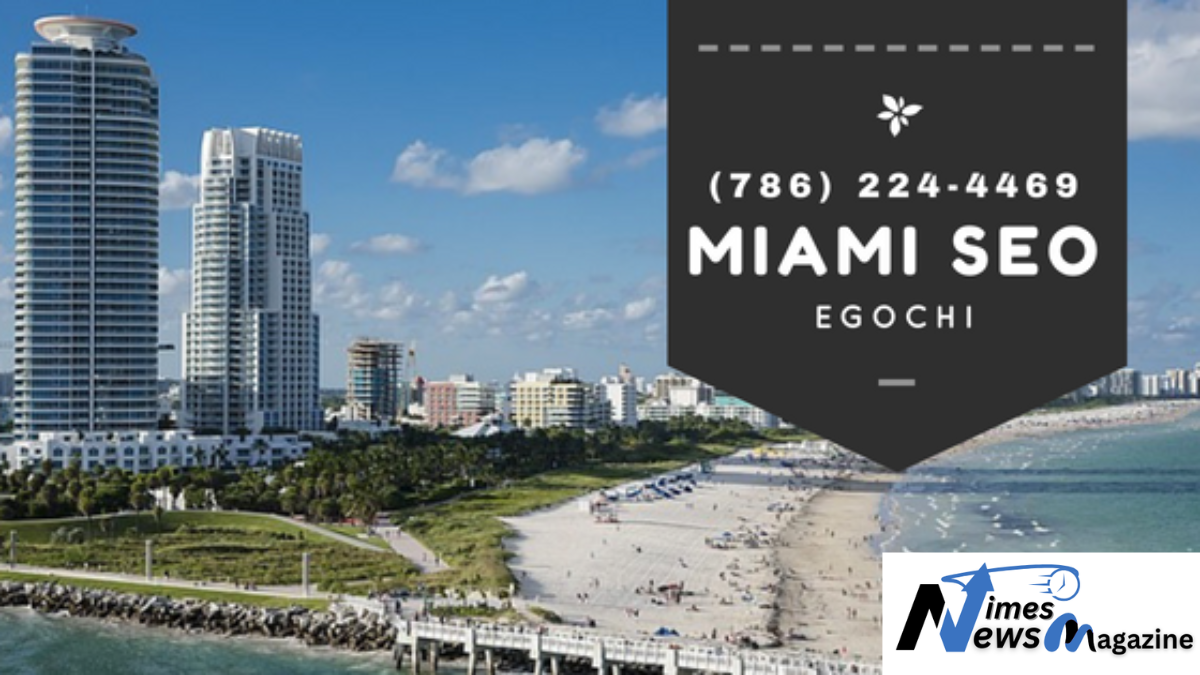 Egochi Miami SEO Agency